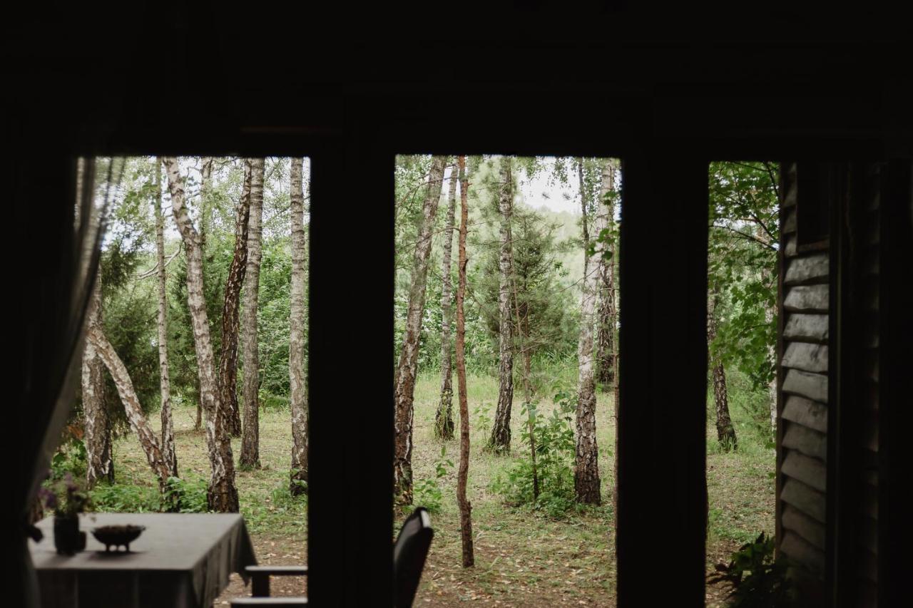 Berzu Namelis - Birch Cabin Kuciunai Exterior photo